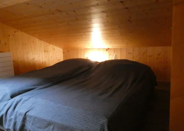 Waldchutz - Anax By Interhome Lejlighed